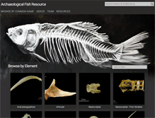 Tablet Screenshot of fishbone.nottingham.ac.uk